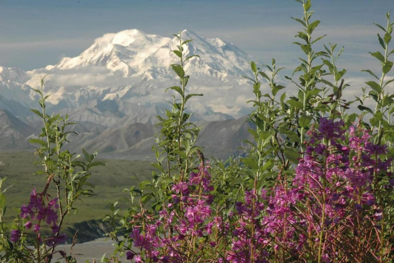 Denali Park 2 Bedroom Mom In Law Healy Dış mekan fotoğraf